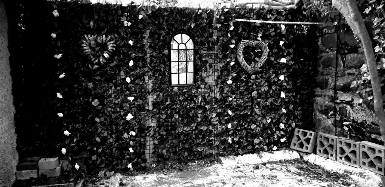 Belfast Cosy Cabin Exterior photo