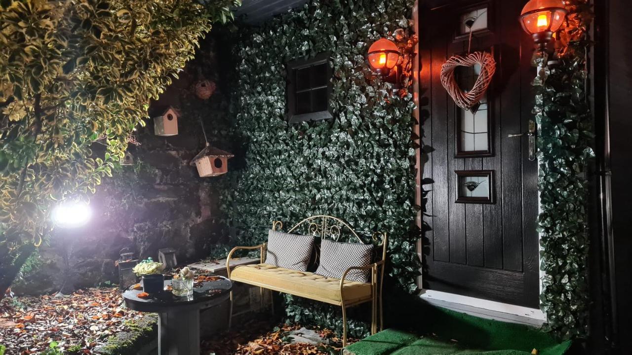Belfast Cosy Cabin Exterior photo